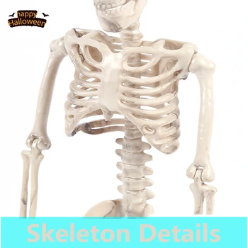 40cm Visu Dydžiu Žmogaus Skeletas Helovinas Parduotuvė Namų Dekoracijos, Rekvizitas, Kad Visos Žmogaus Kūno Anatomijos Anatomija kaulų Skeleto Modelis