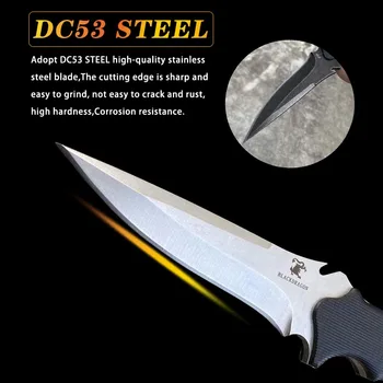 DC53 plieno mažas tiesus peilis kempingas lauko aštrių išgyvenimo peilis kempingas medžioklės, savigynos saber vaisių peilis peilis įrankis