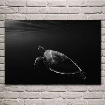 Vėžlys vėžlio po vandeniu gyvūnų juoda balta kūrinys audinio plakatas kambarį namo sienos dekoratyvinis drobės, šilko meno spausdinti KH593