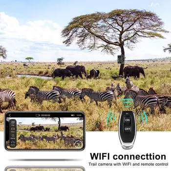 WIFI APP Live Rodyti Takas Kamera 24MP 1080P Medžioklės Kameros 940nm IR Led Naktinio Matymo WIFI801 Lauko Laukinės gamtos Stebėjimą