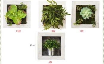 2020 3D Kūrybos metope sultingi augalų, medžio Imitacija, foto rėmelis sienų apdailai dirbtinės gėlės namų dekoro Kambarį